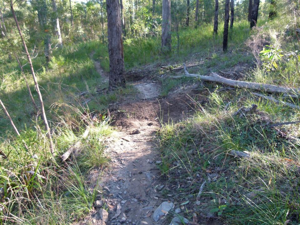 Before the trail closure took hold